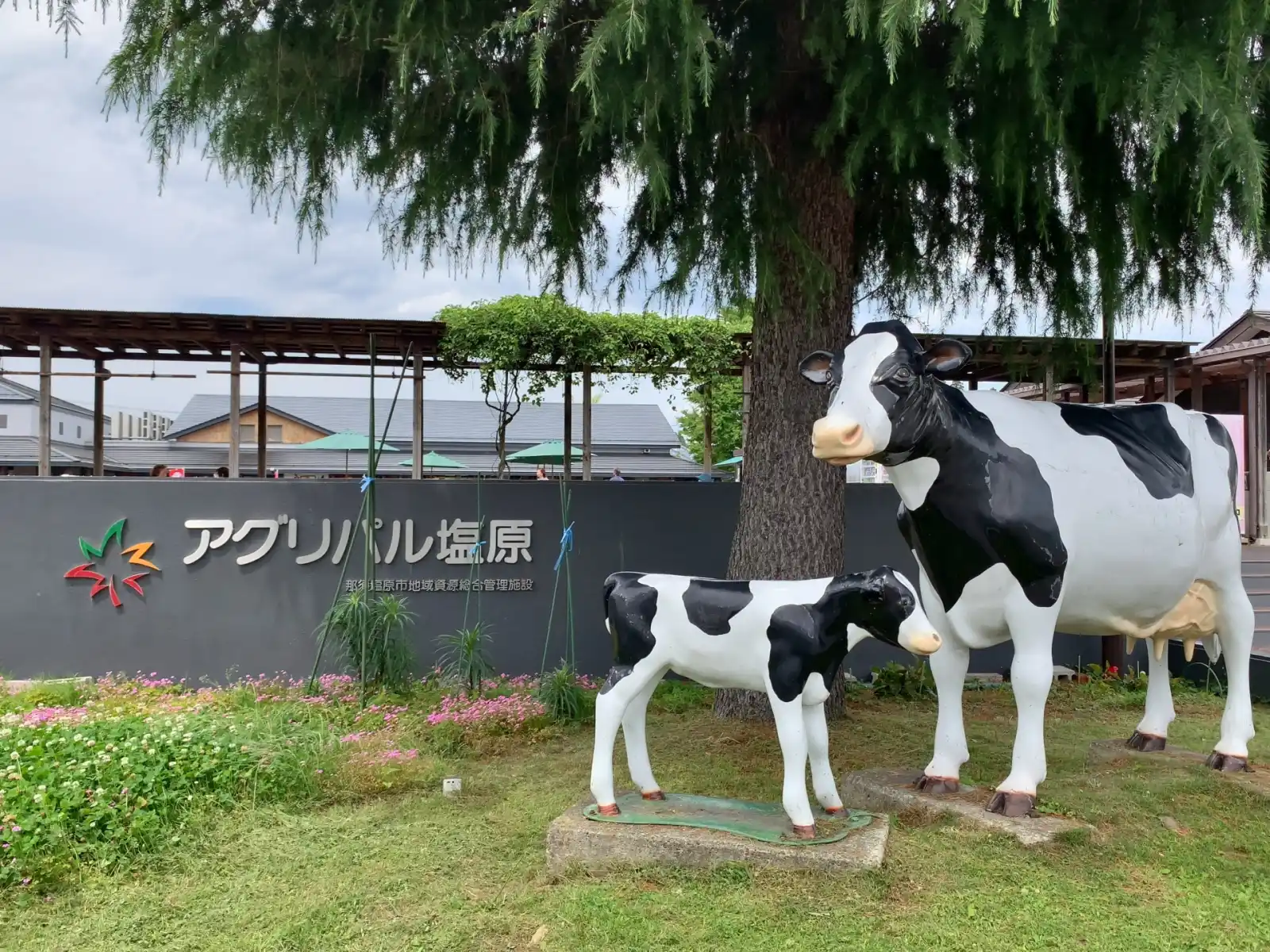 道の駅 湯の香しおばら